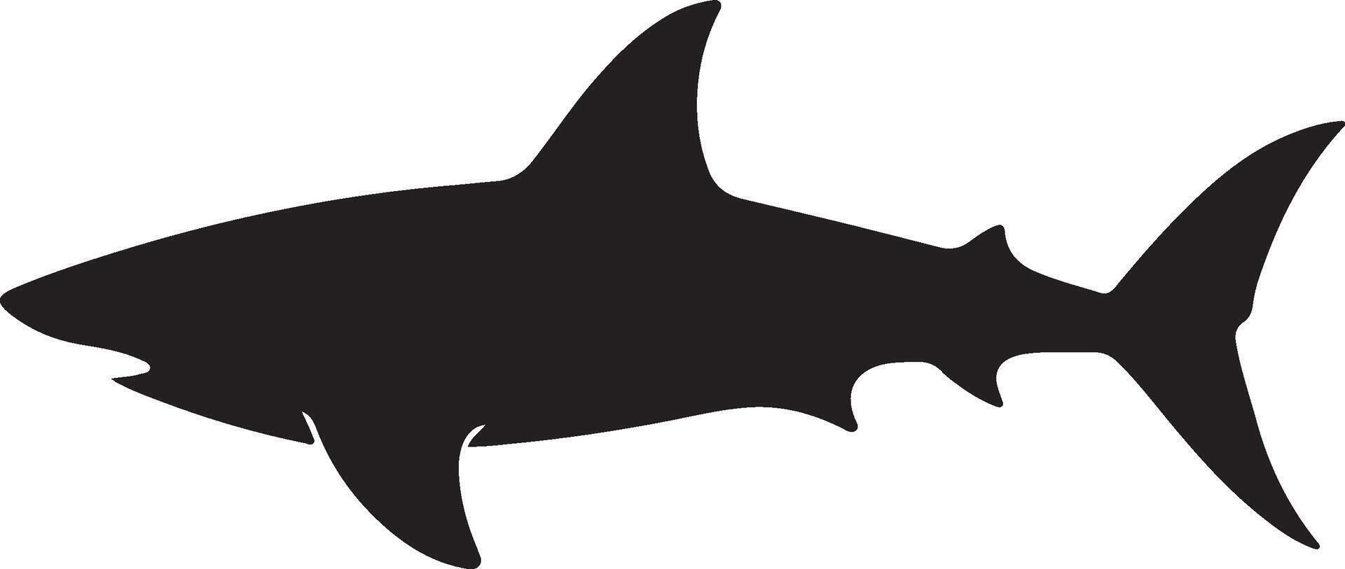 requin silhouette vecteur illustration blanc Contexte