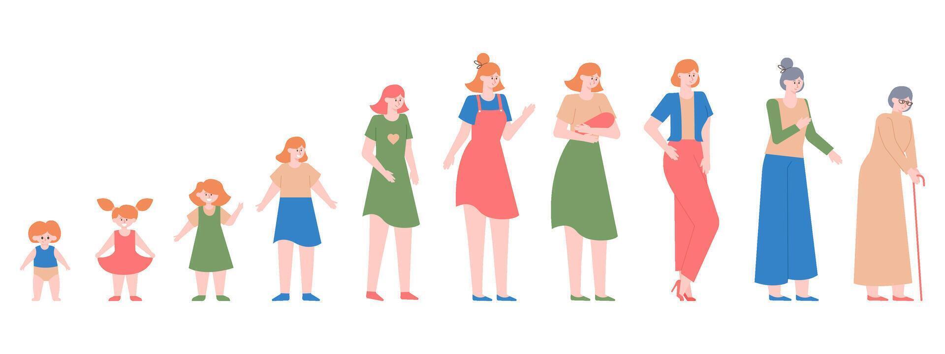 femme générations. femelle différent âge, bébé fille, adolescent, adulte femme et personnes âgées femme, femelle personnage la vie cycles vecteur illustration