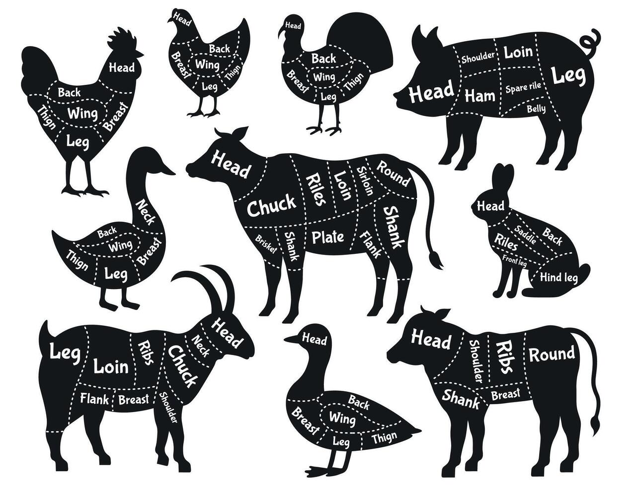 Boucher magasin schème. Viande coupes, porc, poulet, du boeuf et lapin Boucher magasin silhouette. ancien Boucher magasin schémas vecteur illustration ensemble