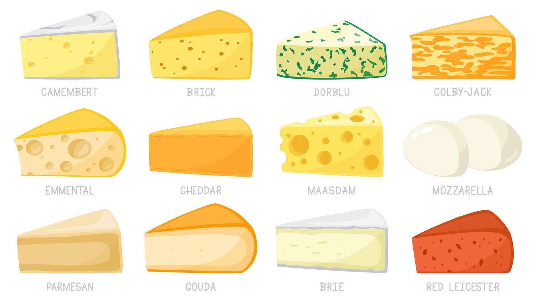 dessin animé fromage les types. fromage Triangles, Cheddar, Brie, mozzarella, Parmesan, Camembert et brique. savoureux fromage vecteur illustration ensemble