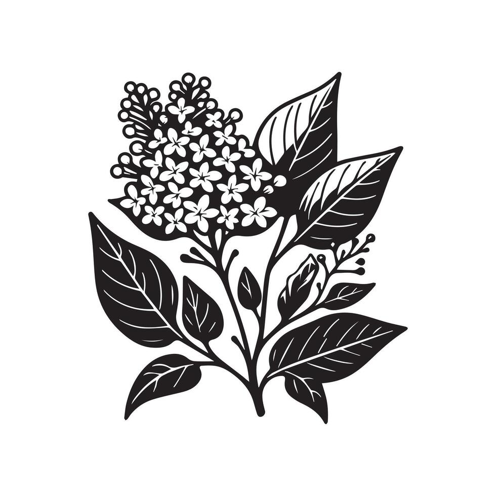 ai généré lilas fleur silhouette noir et blanc illustration vecteur