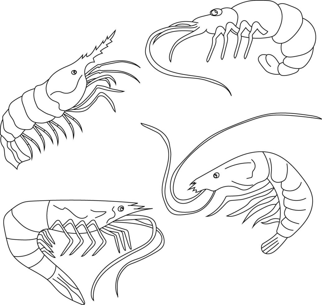 contour crevette clipart ensemble pour aquatique la vie les amoureux vecteur