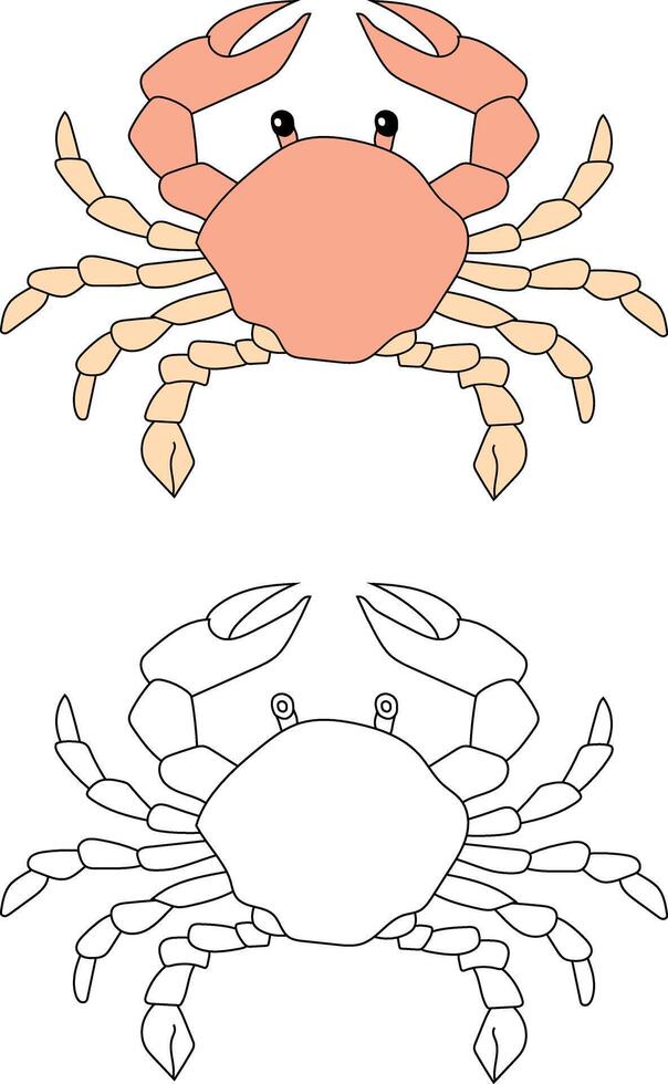 Crabe clipart ensemble. coloré et contour Crabes de le mer la vie vecteur