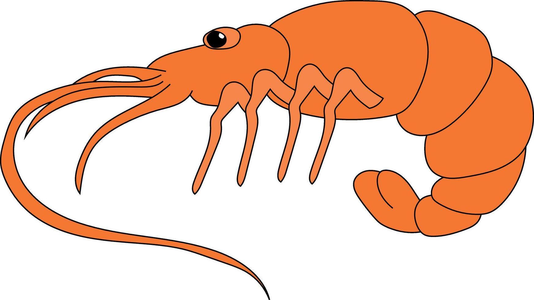 coloré crevette clipart pour les amoureux de mer la vie vecteur