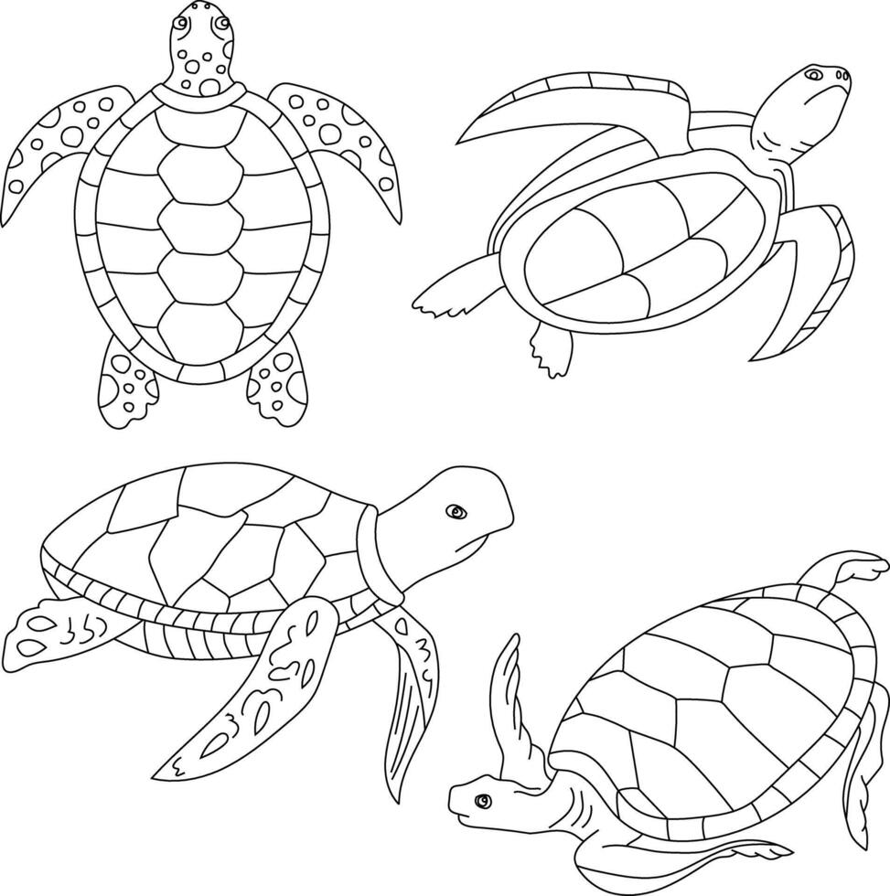 contour mer tortue clipart ensemble vecteur