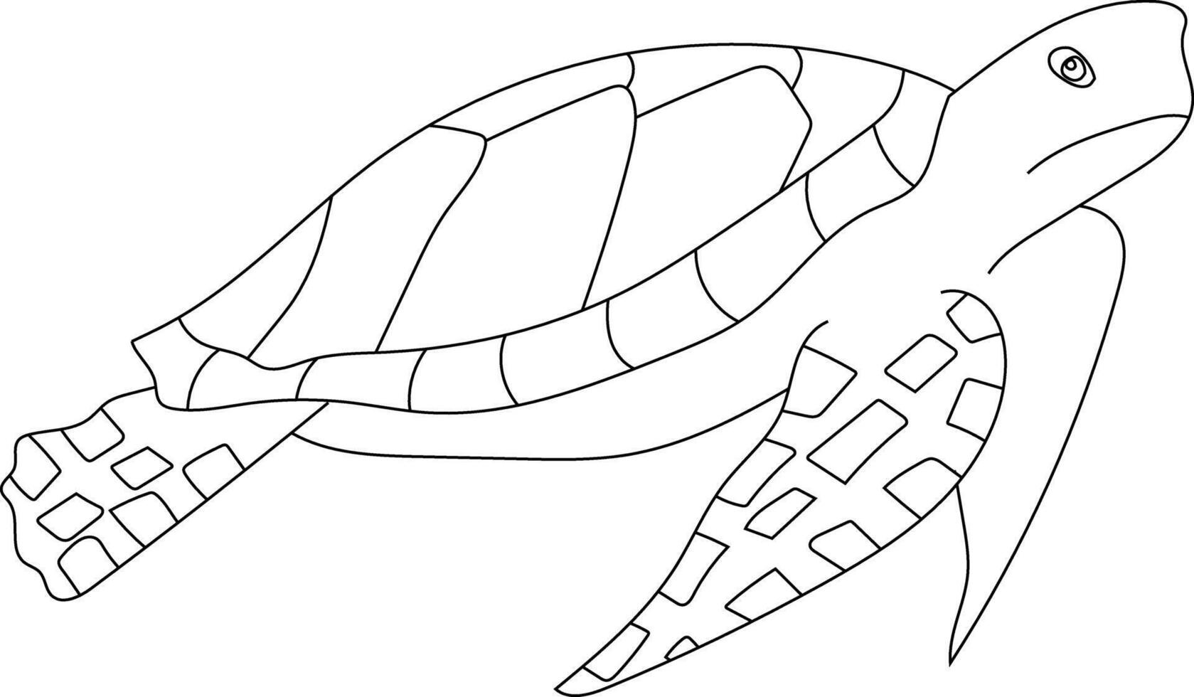 contour mer tortue clipart vecteur