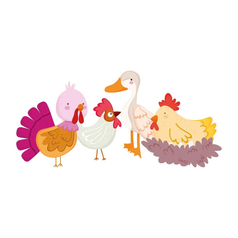 animaux de la ferme volaille oie canard coq dinde poule et poulet dessin animé vecteur