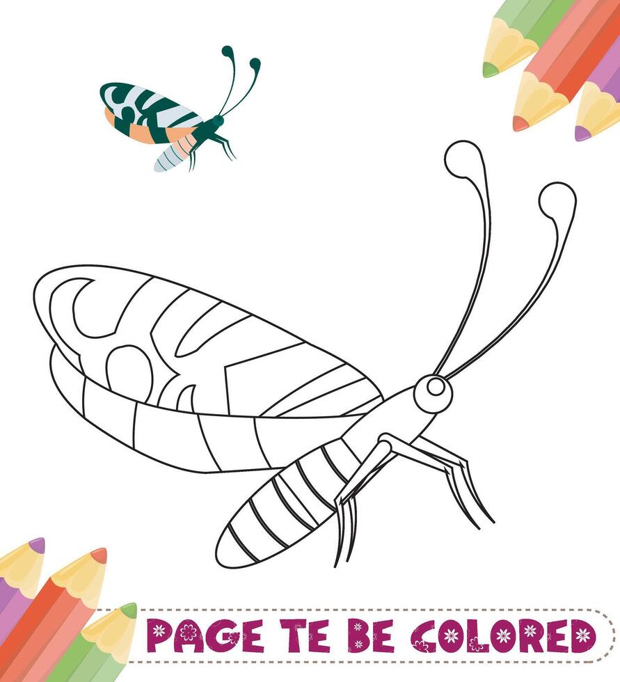 papillon coloriage illustration colorée vecteur