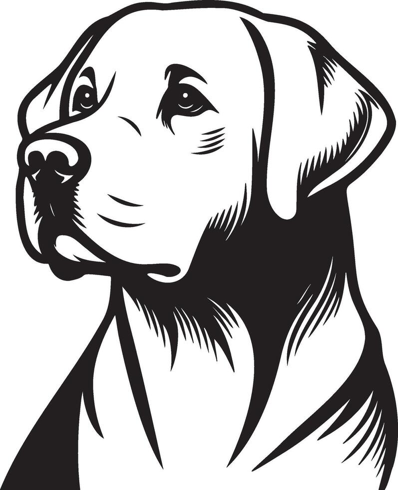 Labrador retriever chien illustration. vecteur