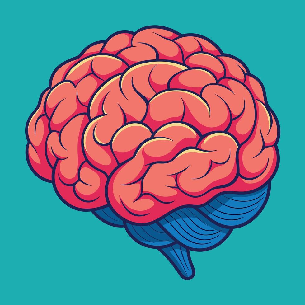 cerveau coloré dessin animé vecteur illustration