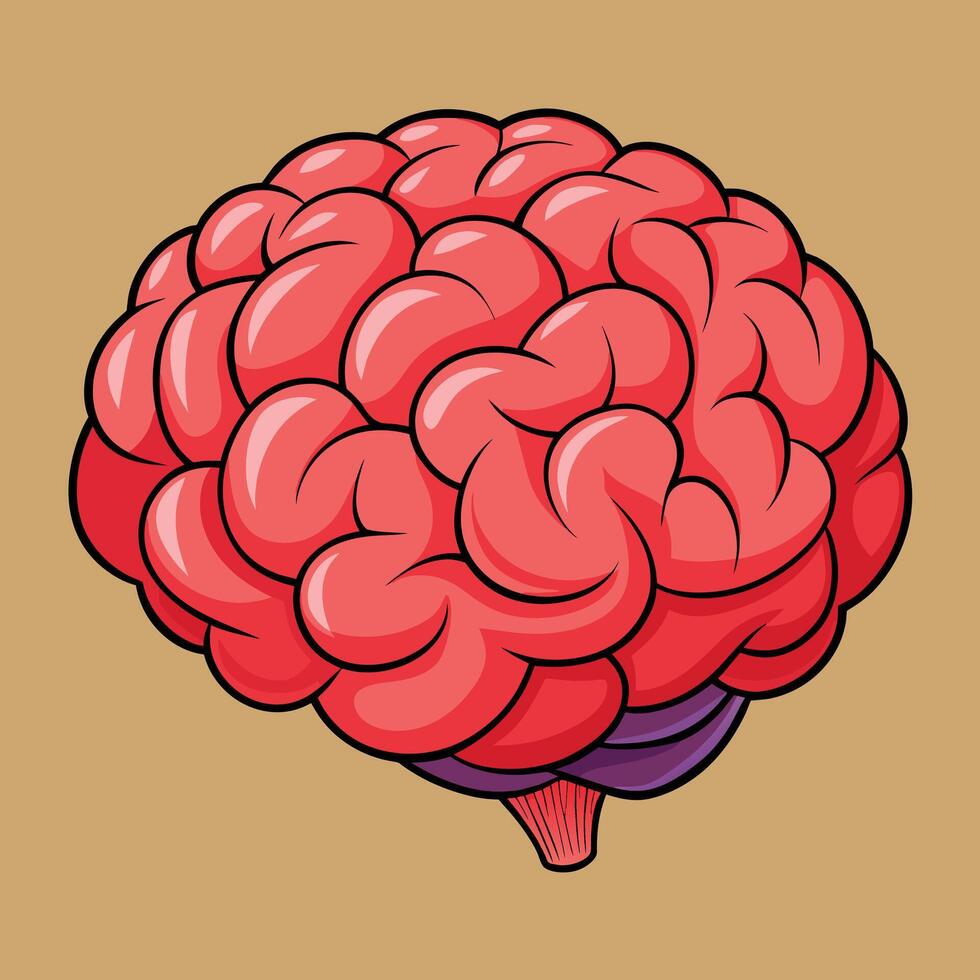 cerveau coloré dessin animé vecteur illustration