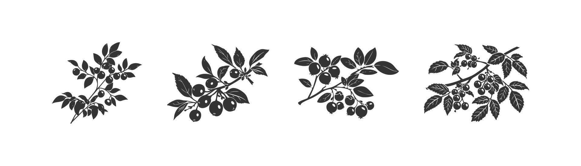 myrtille branche icône ensemble. vecteur illustration conception.
