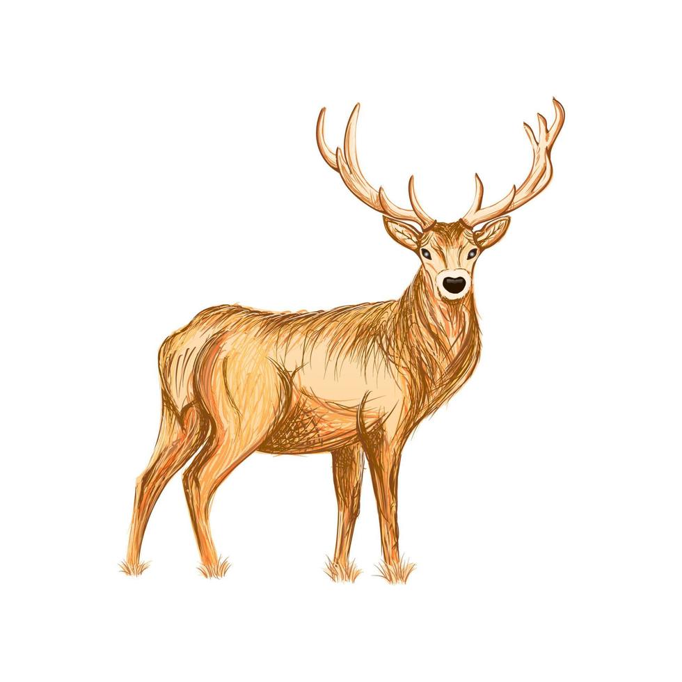 illustration abstraite de cerf dessiné à la main vecteur