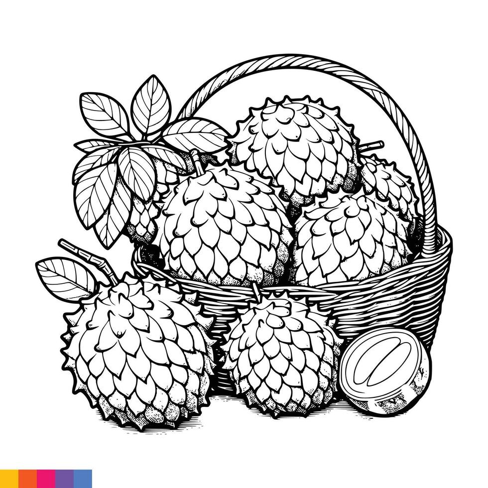 fruit panier ligne art illustration pour le coloration livre. des fruits coloration page. vecteur graphique