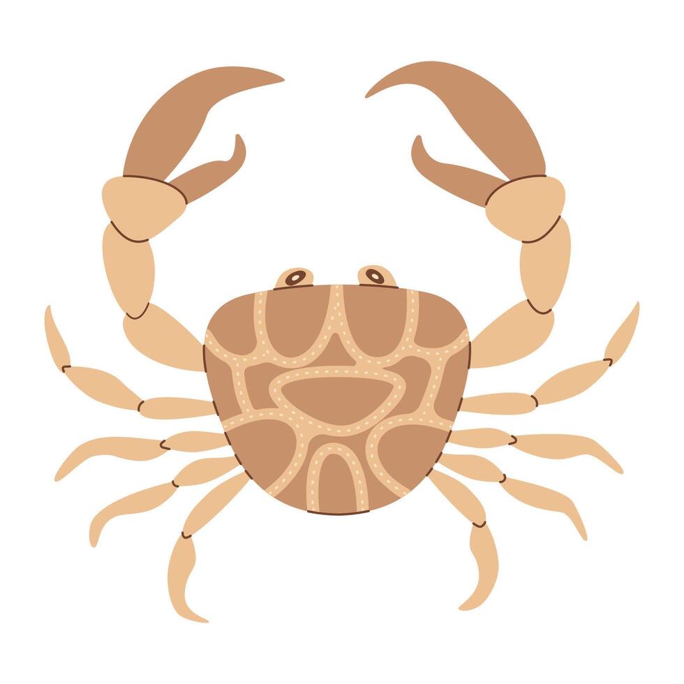 vecteur illustration dessin animé crabe. mignonne et magnifique mer animaux. main tiré plat style Crabe isolé sur blanche. branché plat vecteur illustration