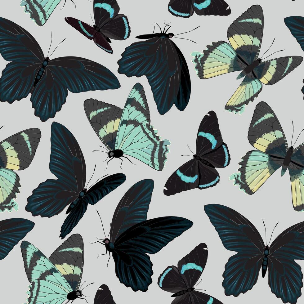 vecteur sans couture modèle avec haute détaillé tropique papillon
