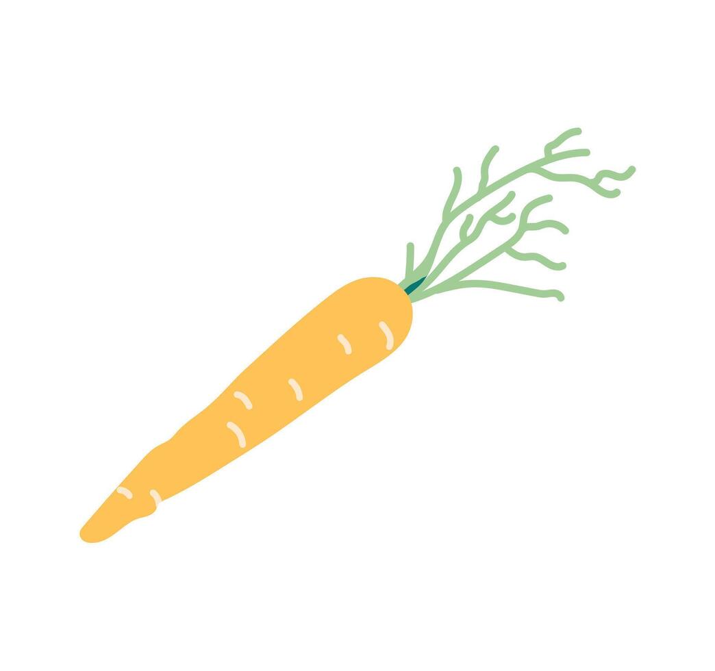 carotte légume en bonne santé nourriture plat vecteur illustration isolé sur blanc Contexte.