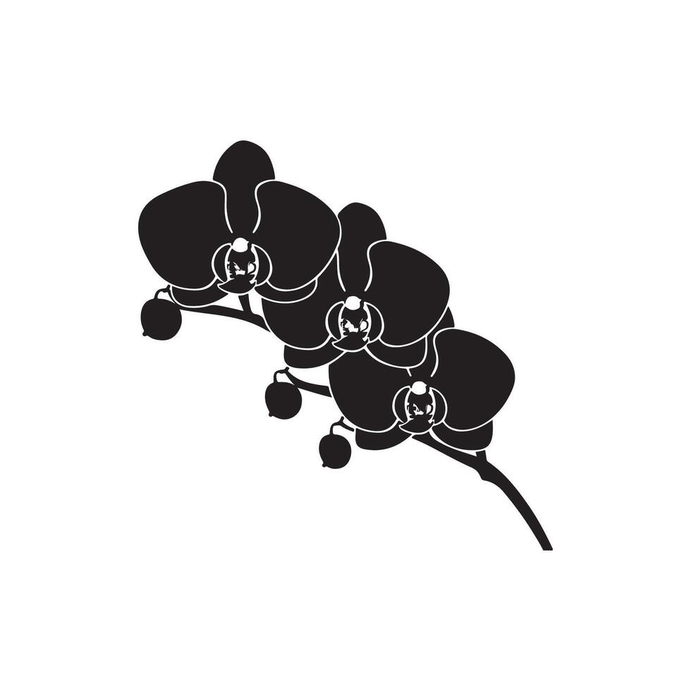 orchidée vecteur art silhouette illustration