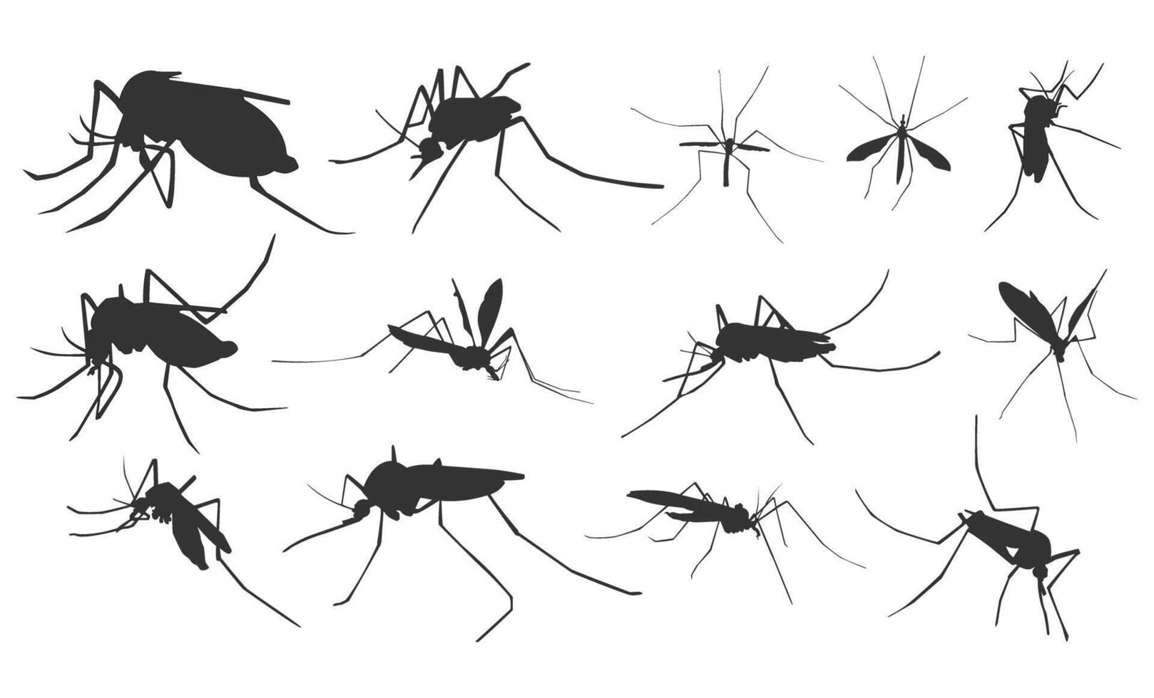 ensemble de moustique silhouette, insecte animal. vecteur illustration