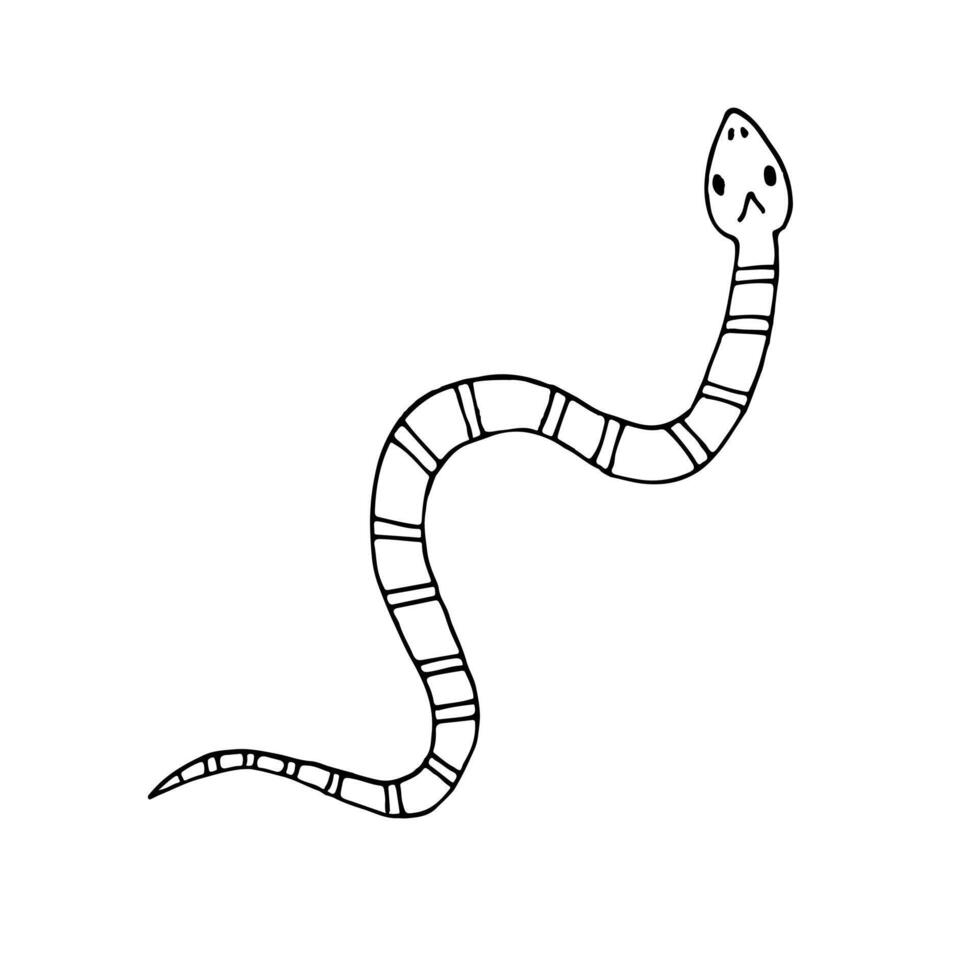 vecteur main tiré griffonnage esquisser serpent