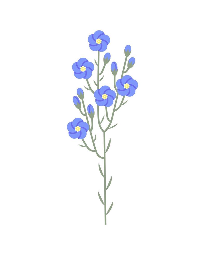 lin plante. bleu fleurs sur feuillu tige. vecteur plat Couleur illustration isolé sur blanche.