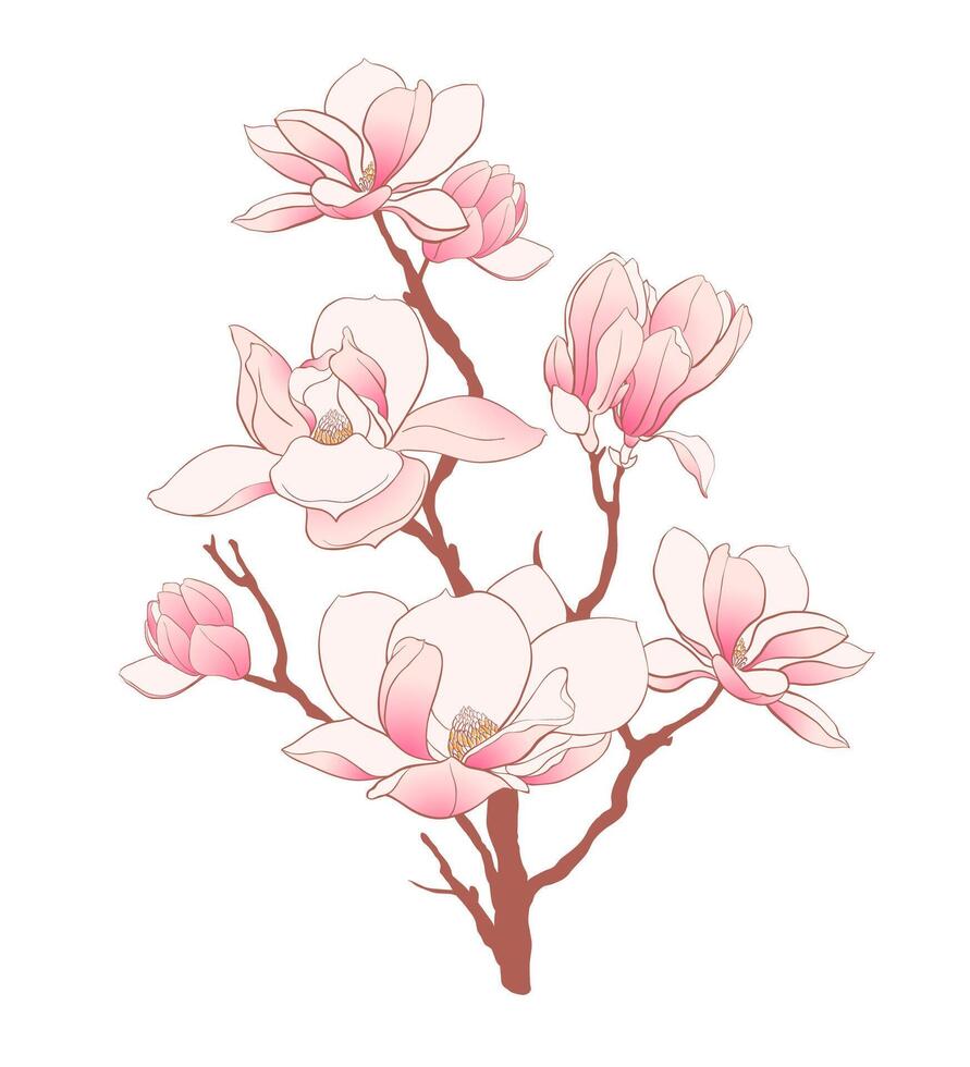 une branche avec rose magnolia fleurs vecteur