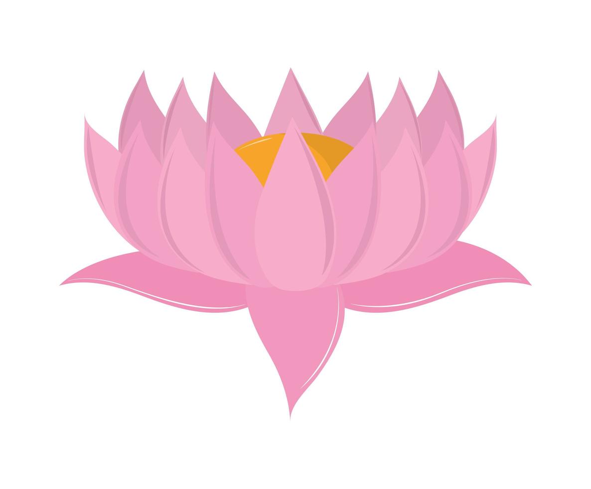 fleur de lotus nature vecteur