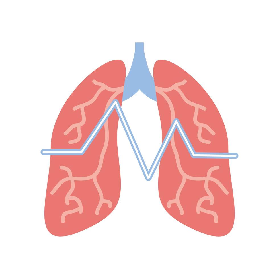médecine des poumons humains vecteur