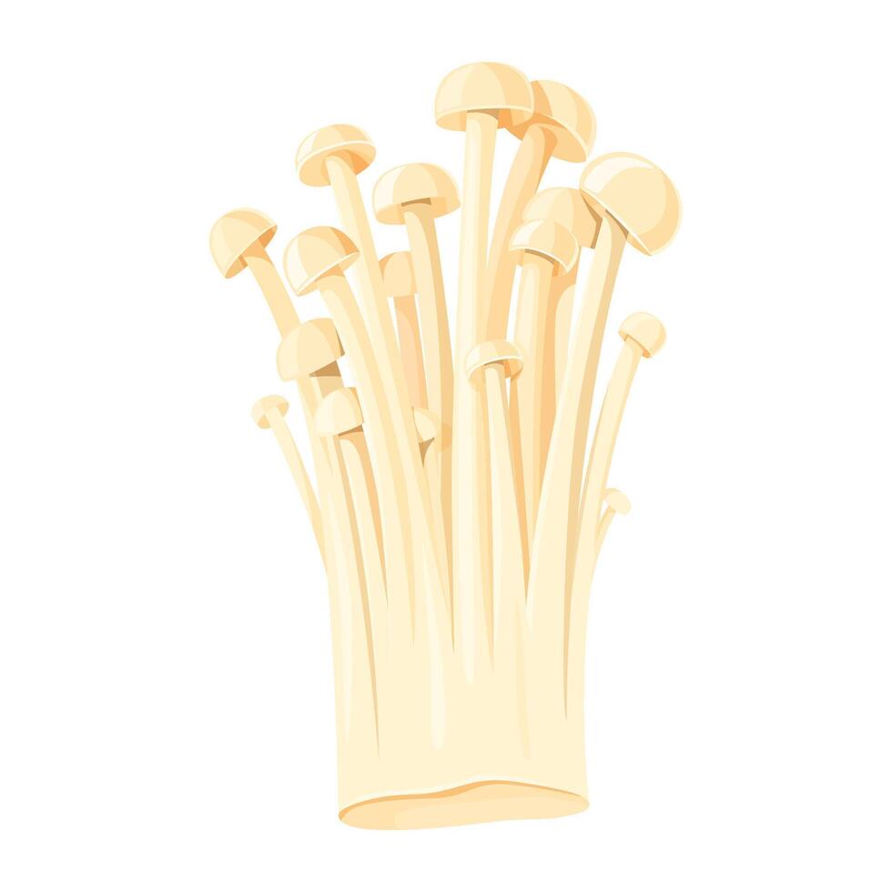 grappe de enoki champignons. bouquet de champignon isolé. vecteur illustration de un asiatique cuisine ingrédient. fermer, transparent Contexte.