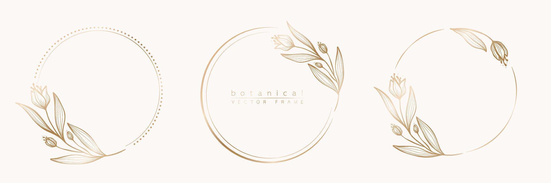 ensemble de floral Cadre modèles dans minimal linéaire style avec main tiré branches et feuilles. élégant Cadre. botanique vecteur illustration pour Étiquettes, entreprise identité, mariage invitation, logo