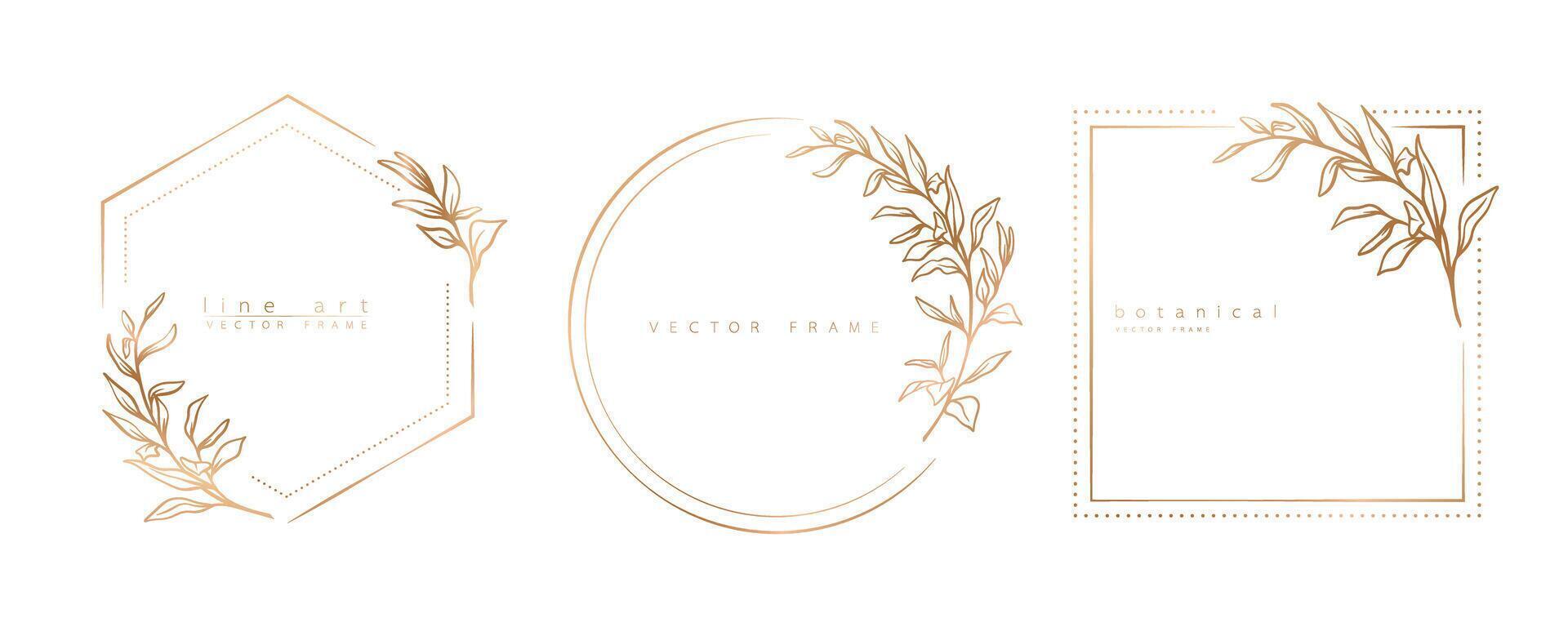 ensemble de floral Cadre modèles dans minimal linéaire style avec main tiré branches et feuilles. élégant Cadre. botanique vecteur illustration pour Étiquettes, entreprise identité, mariage invitation, logo