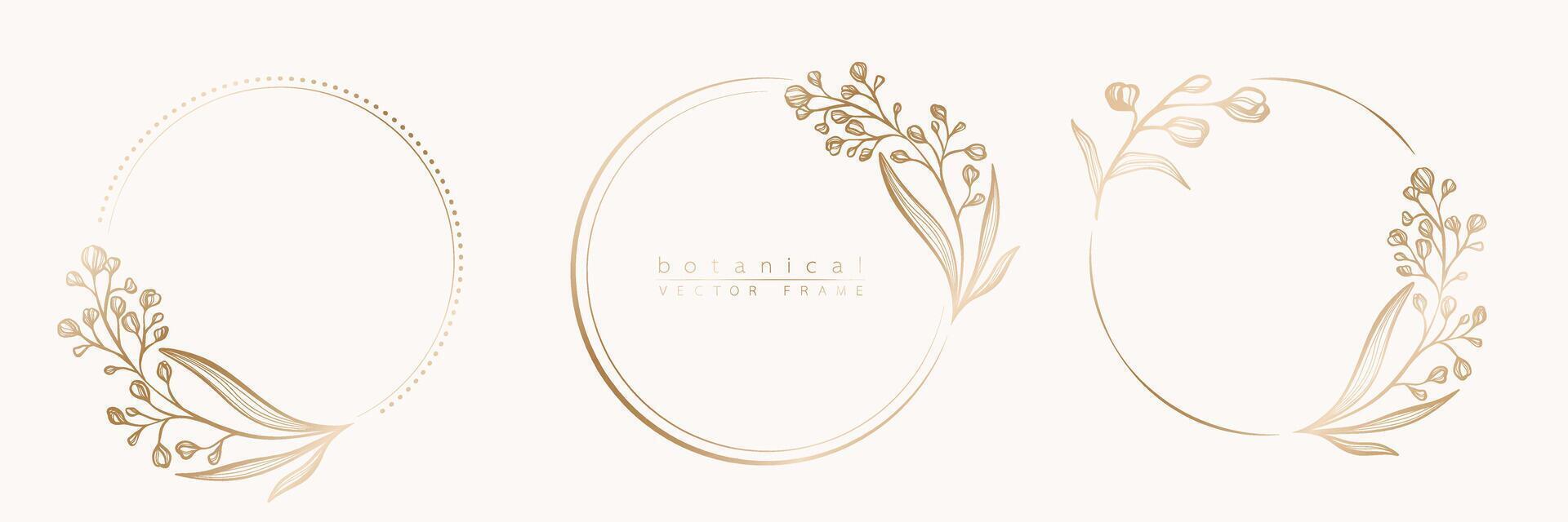 ensemble de floral Cadre modèles dans minimal linéaire style avec main tiré branches et feuilles. élégant Cadre. botanique vecteur illustration pour Étiquettes, entreprise identité, mariage invitation, logo