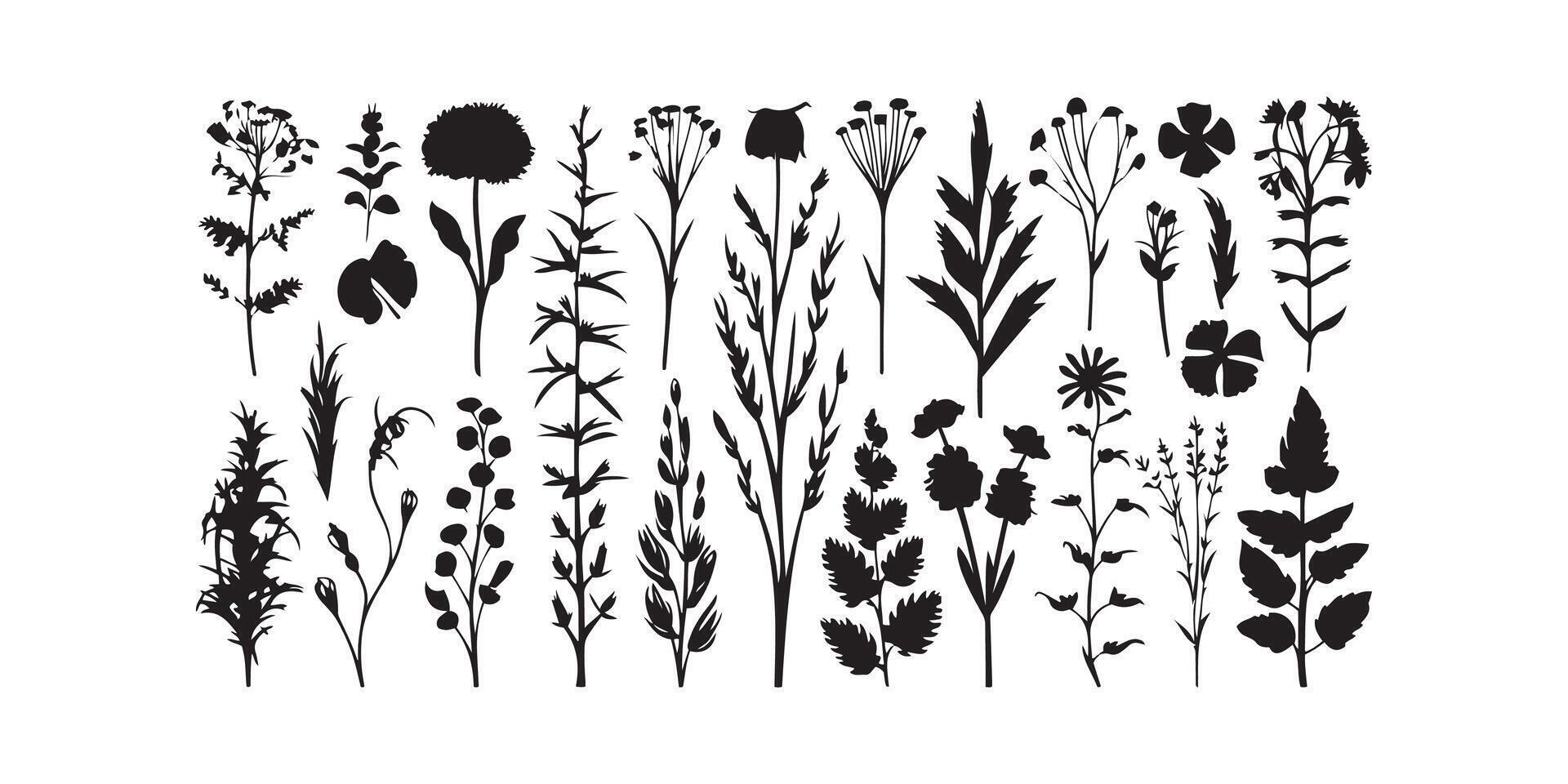 sauvage Prairie herbes floraison fleurs vecteur silhouettes collections vecteur art illustration