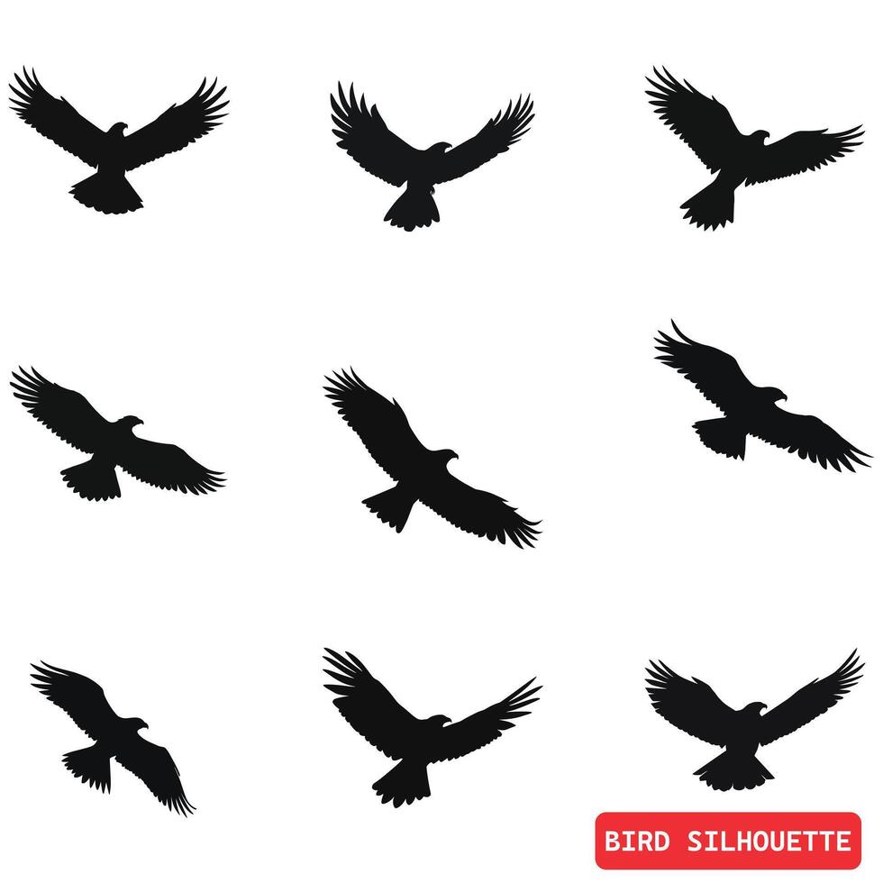 des oiseaux dans mouvement dynamique oiseau silhouettes pour graphique conception vecteur