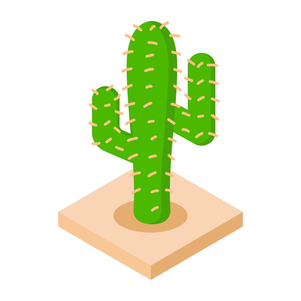 concepts de cactus à la mode vecteur