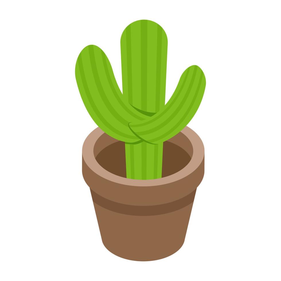 concepts de cactus à la mode vecteur