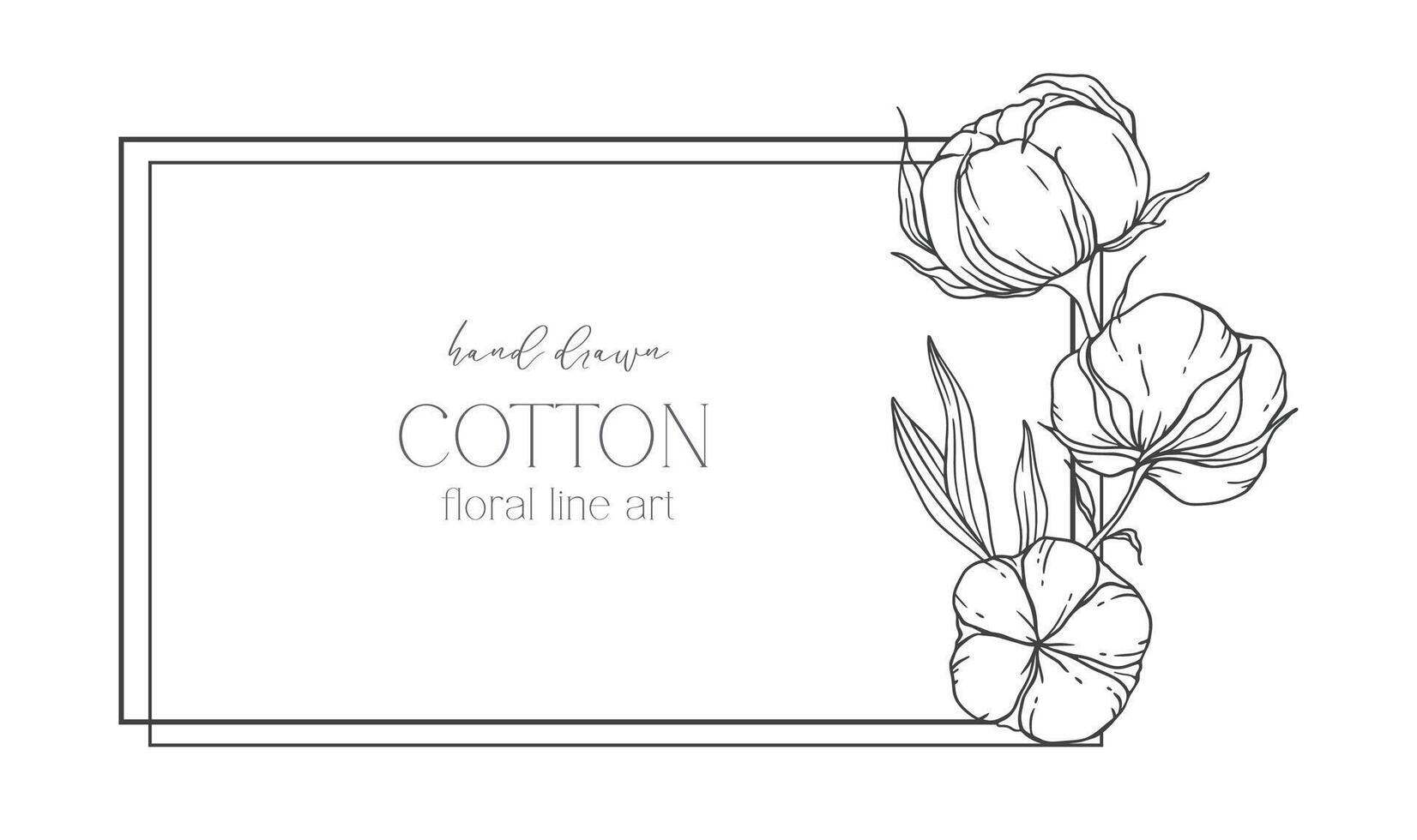 main tiré coton fleurs ligne art illustration. coton des balles isolé sur blanche. floral ligne art. coton plante noir et blanc illustration. bien ligne coton illustration. vecteur