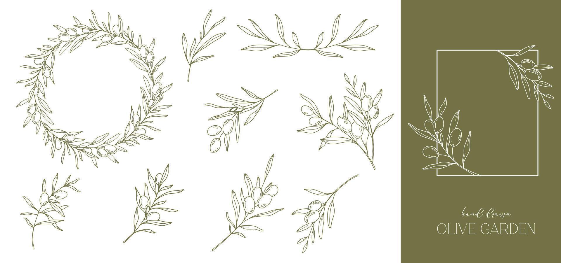 Olives ligne dessin. noir et blanc olive Cadre. olive couronne isolé. floral ligne art. bien ligne olive illustration. noir et blanc olive branches. main tiré olive. mariage invitation verdure vecteur