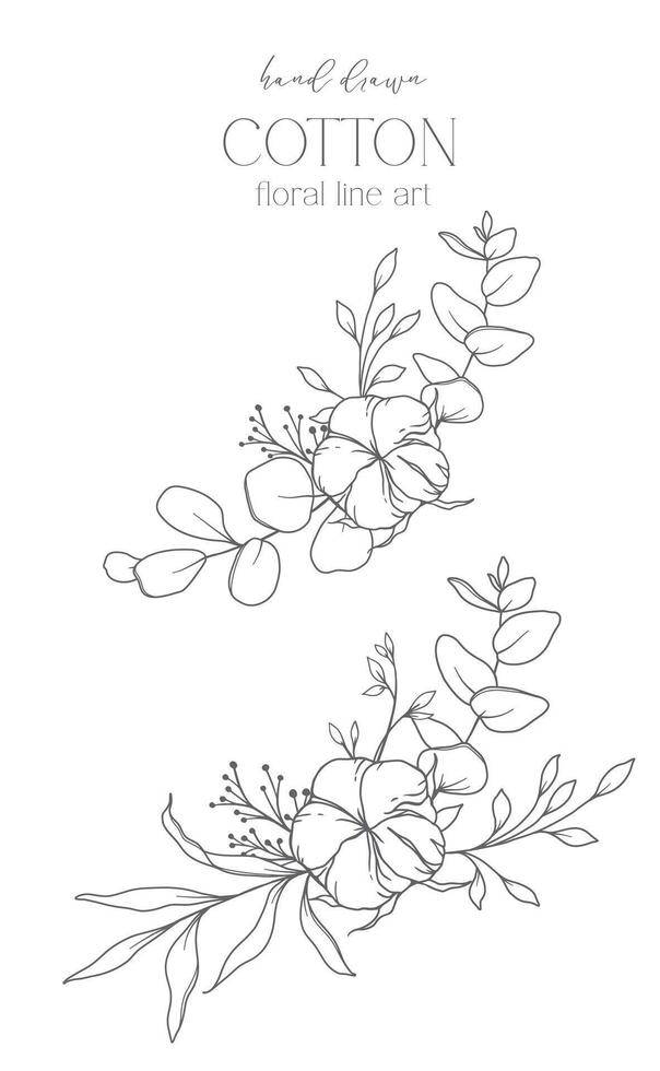 main tiré coton fleurs ligne art illustration. coton des balles isolé sur blanche. floral ligne art. coton plante noir et blanc illustration. bien ligne coton illustration. vecteur