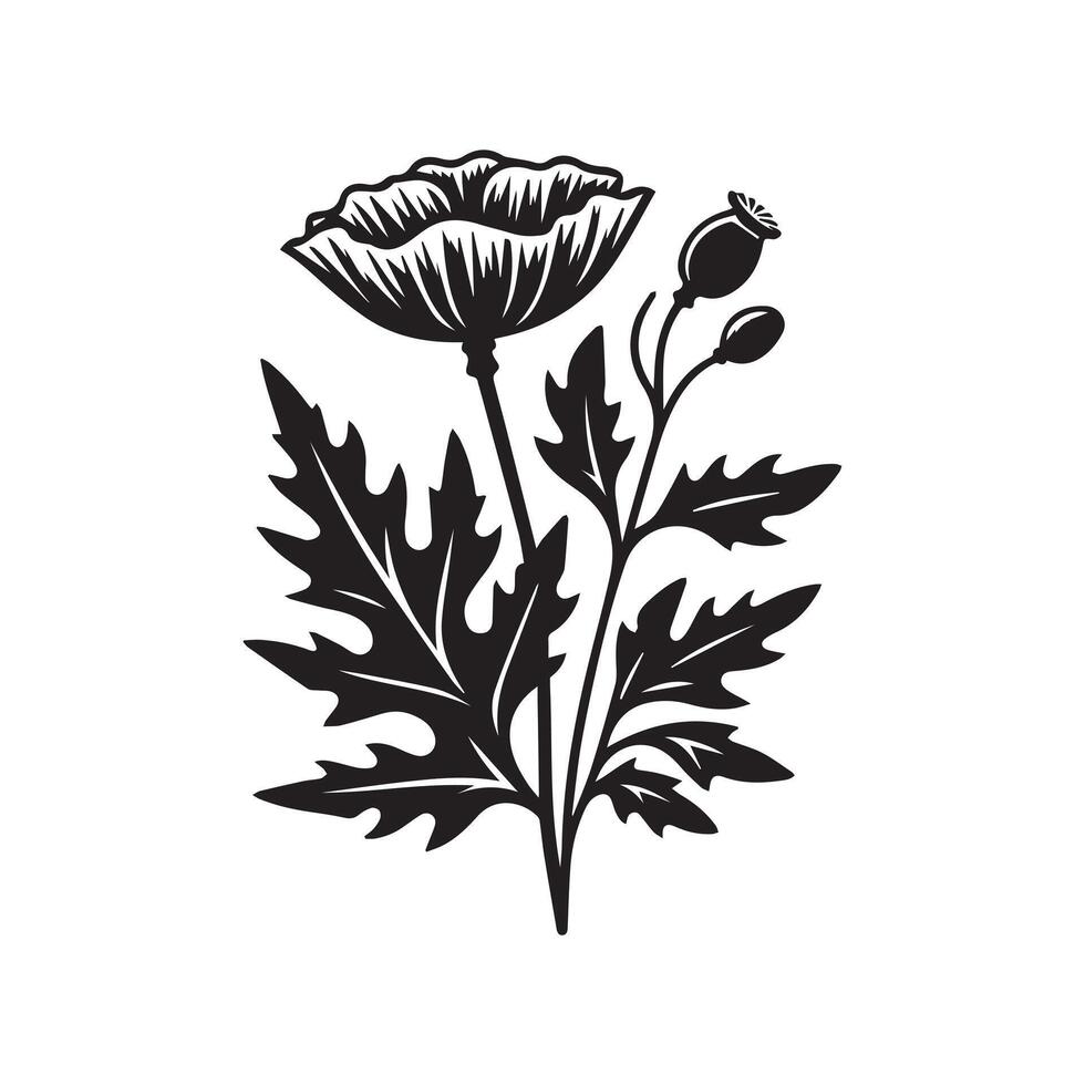 ai généré commun coquelicot fleur silhouette noir et blanc illustration vecteur