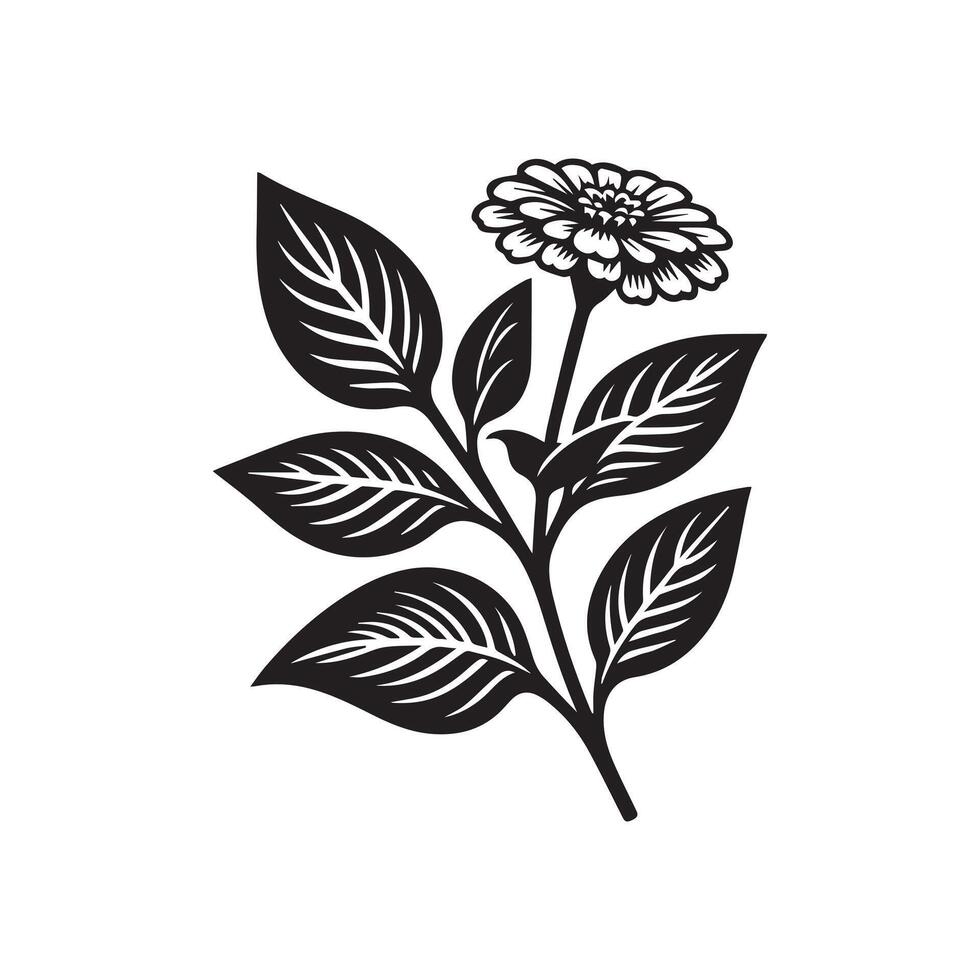 ai généré zinnia fleur silhouette noir et blanc illustration vecteur