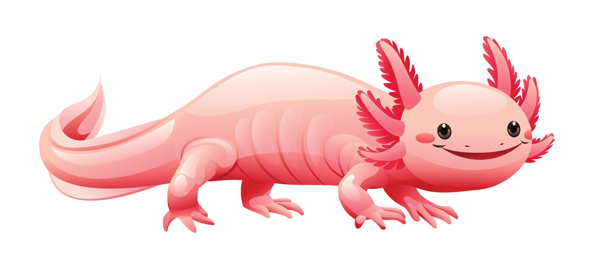 mignonne axolotl dessin animé illustration. vecteur salamandre isolé sur blanc Contexte