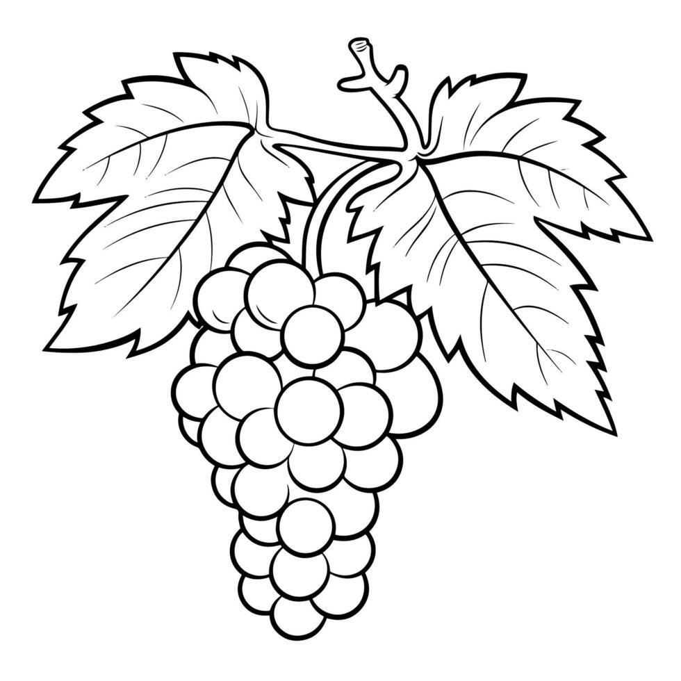 lisse grain de raisin contour icône dans vecteur format pour sur le thème des fruits conceptions.