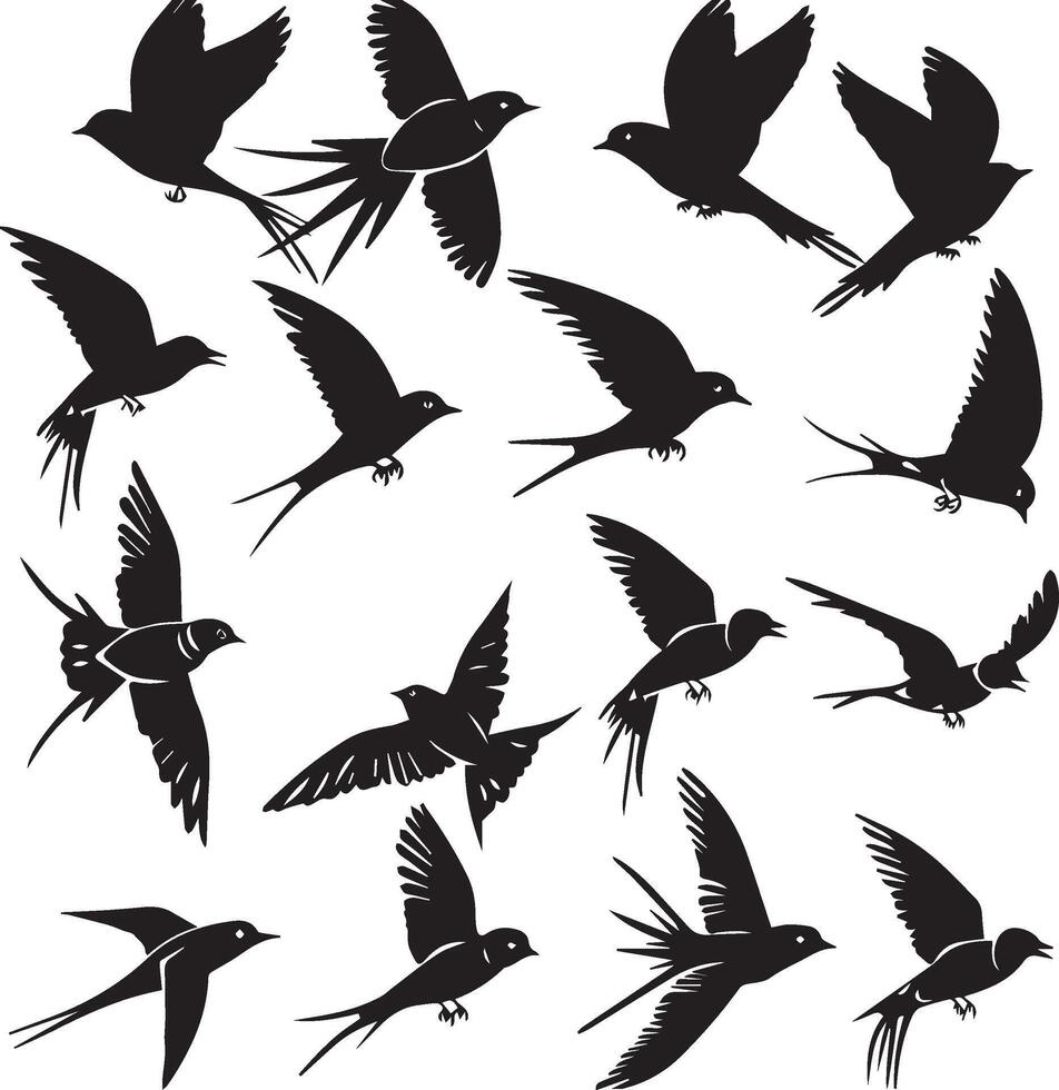 avaler des oiseaux en volant silhouettes vecteur