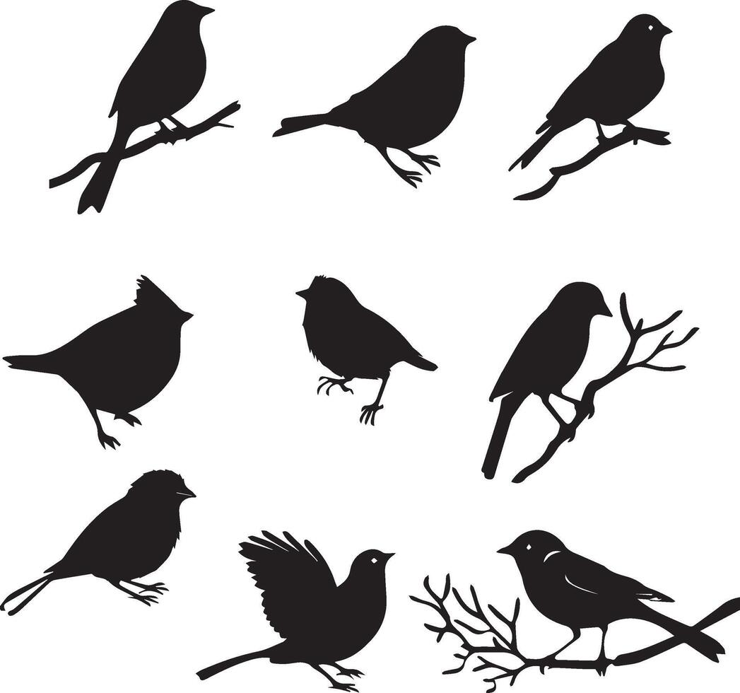 ensemble de des oiseaux noir silhouette sur blanc Contexte vecteur