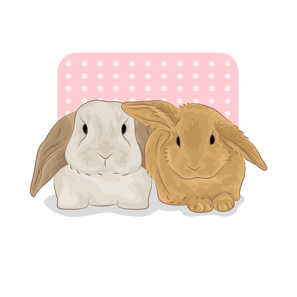 illustration de deux lapins vecteur