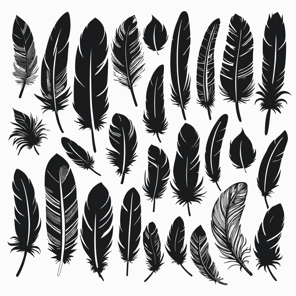 plume silhouette illustration encre dessin vecteur art