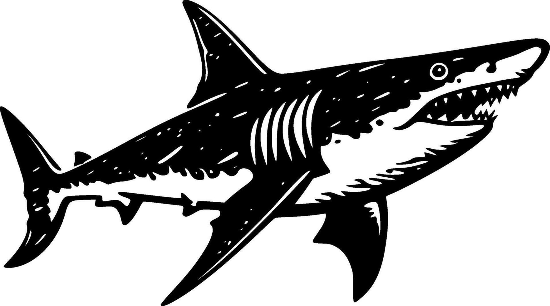 requin - noir et blanc isolé icône - vecteur illustration