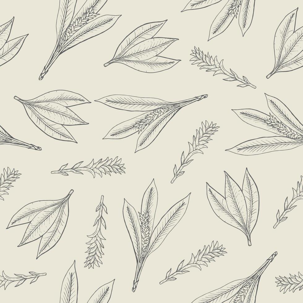 botanique sans couture modèle avec Safran des Indes feuilles et inflorescences. herbacé plante main tiré avec contour lignes sur lumière Contexte. monochrome vecteur illustration pour textile imprimer, fond d'écran.