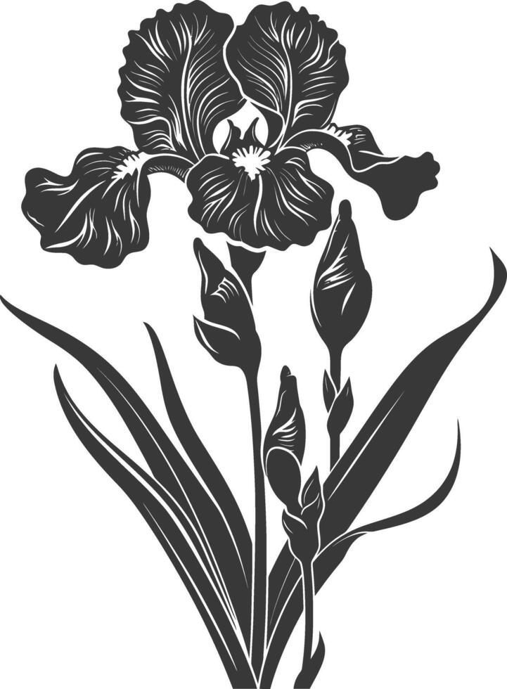 ai généré silhouette iris fleur noir Couleur seulement vecteur
